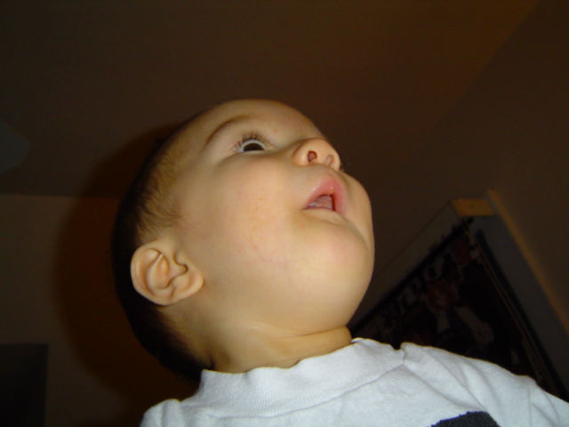 014 Jason11272003.jpg, 12/2/2003, 147 kB