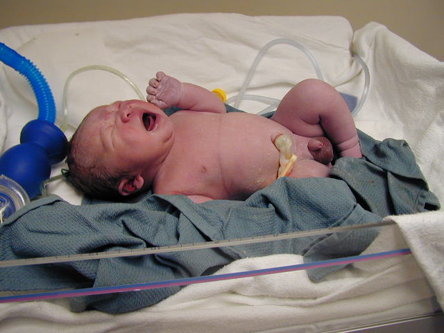 25280045.JPG, 5/28/02, 54 kB