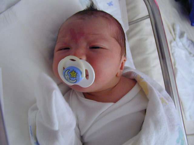 25310073.JPG, 5/31/02, 46 kB