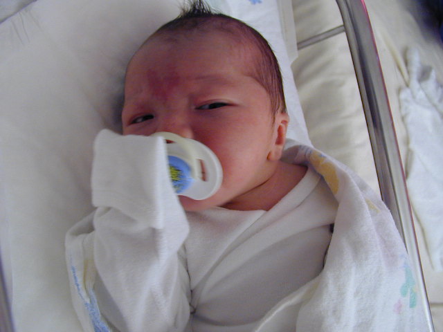 25310074.JPG, 5/31/02, 53 kB