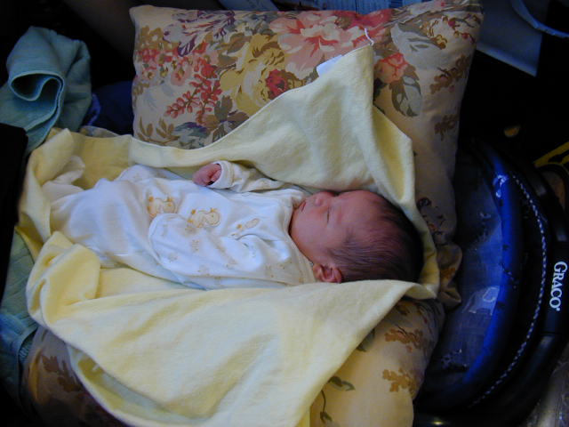 26030093.JPG, 6/3/02, 51 kB