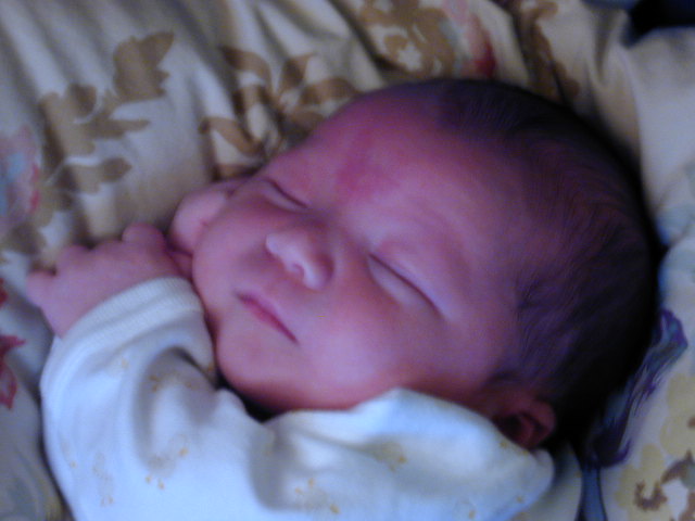 26040096.JPG, 6/4/02, 53 kB
