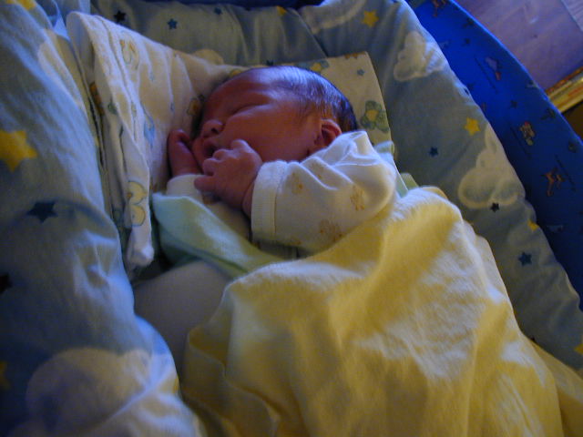 26040097.JPG, 6/4/02, 53 kB