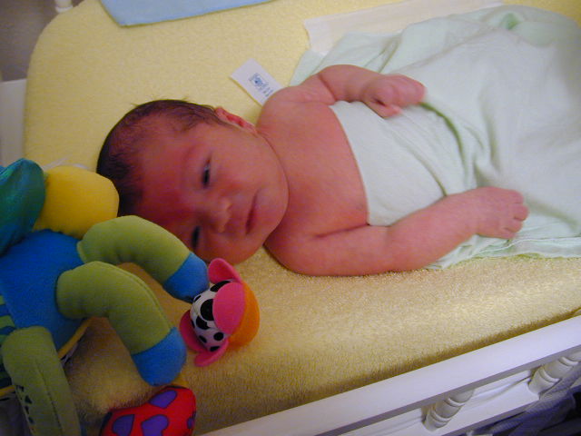 26050098.JPG, 6/5/02, 53 kB
