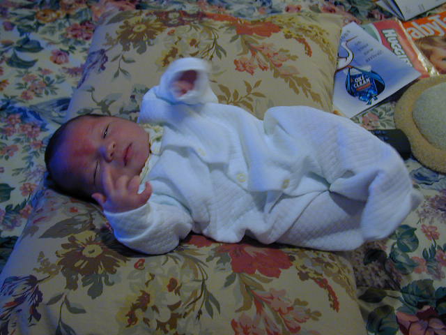 26050100.JPG, 6/5/02, 56 kB