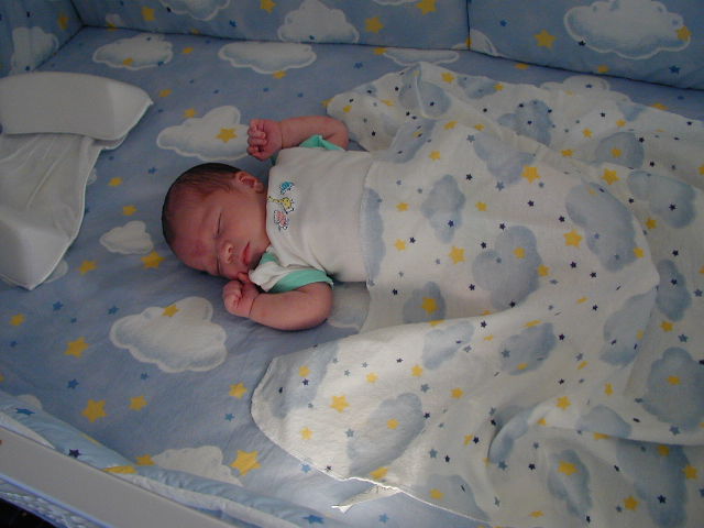 26090105.JPG, 6/9/02, 51 kB