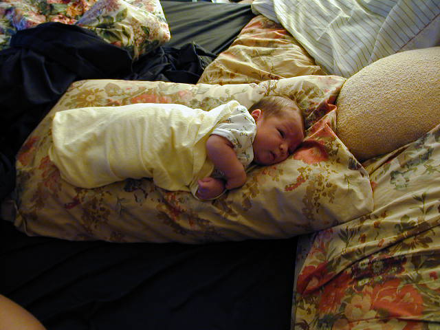 26120107.JPG, 6/12/02, 59 kB