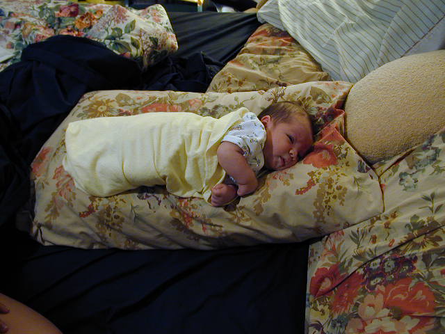 26120108.JPG, 6/12/02, 59 kB