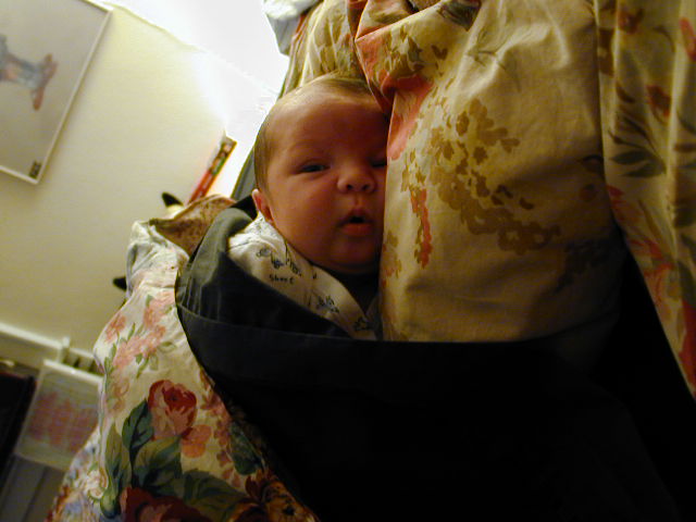26120109.JPG, 6/12/02, 51 kB