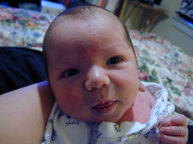 26190119.JPG, 6/19/02, 53 kB
