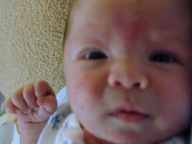 26190122.JPG, 6/19/02, 50 kB