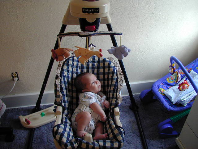 26250151.JPG, 6/25/02, 61 kB