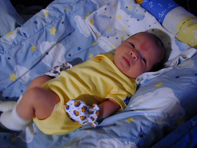 26270157.JPG, 6/27/02, 55 kB