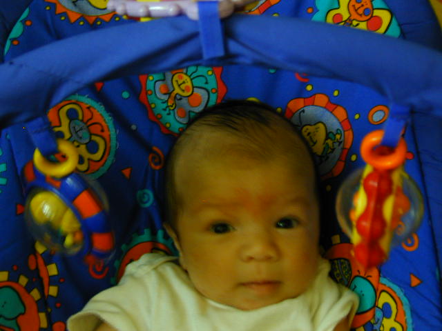 27030171.JPG, 7/3/02, 52 kB