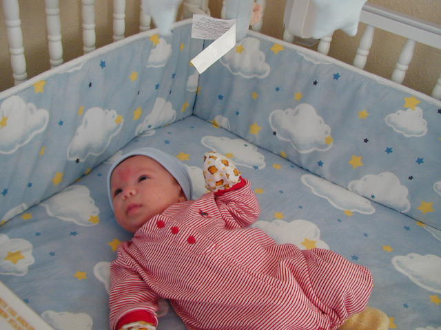 27100194.JPG, 7/10/02, 57 kB