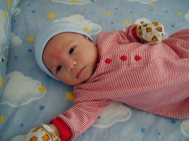 27100195.JPG, 7/10/02, 60 kB