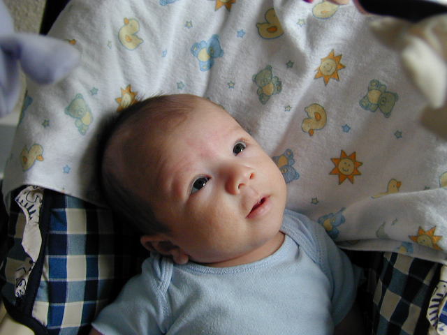 27220241.JPG, 7/22/02, 52 kB