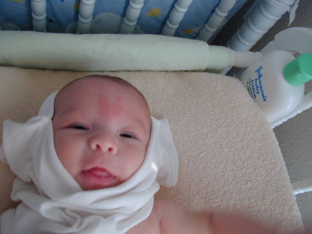28040275.JPG, 8/4/02, 52 kB