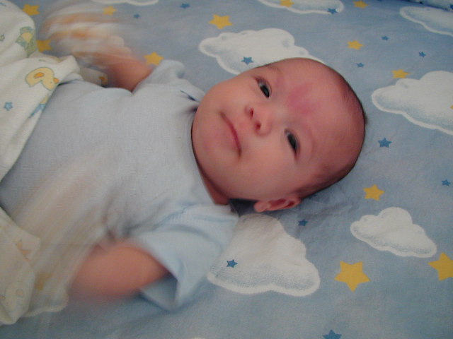 28060281.JPG, 8/6/02, 52 kB