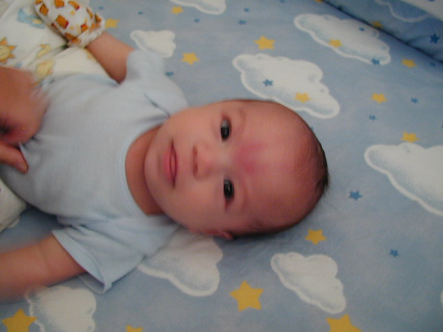 28060284.JPG, 8/6/02, 51 kB