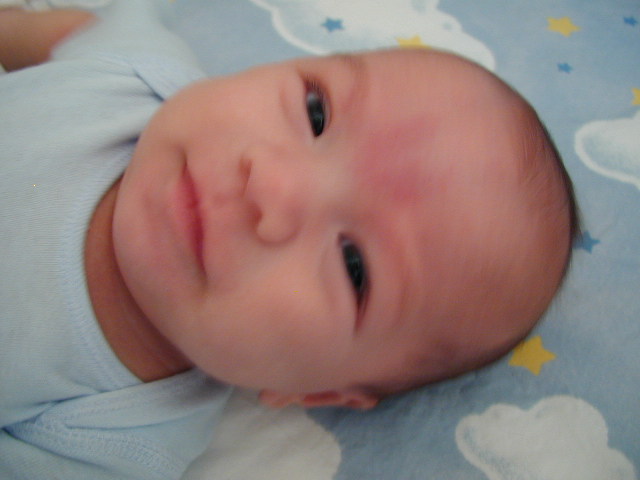 28060292.JPG, 8/6/02, 51 kB
