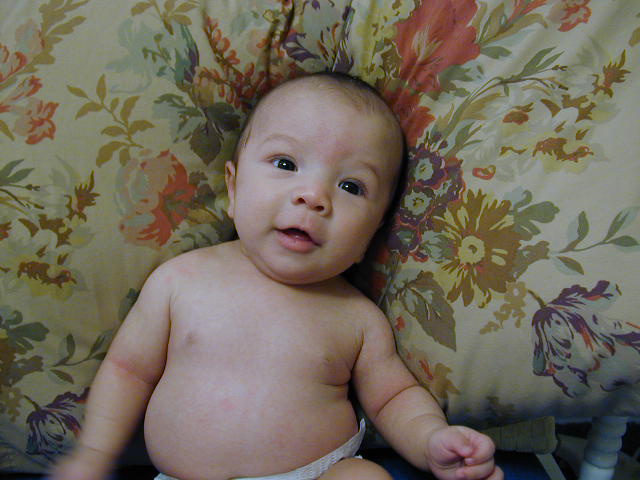 28060303.JPG, 8/6/02, 56 kB