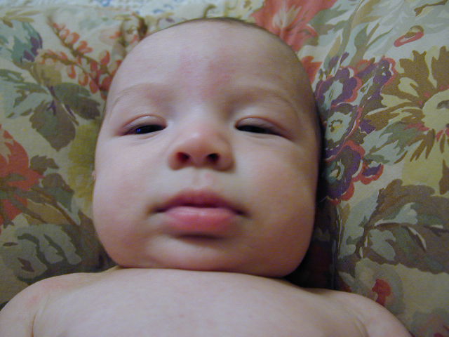 28060306.JPG, 8/6/02, 53 kB
