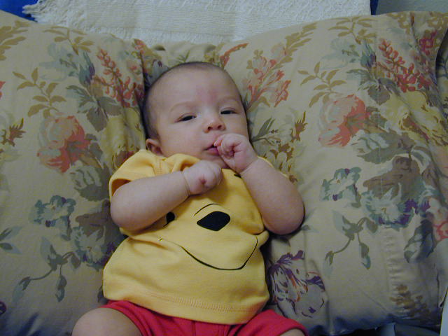28060308.JPG, 8/6/02, 55 kB