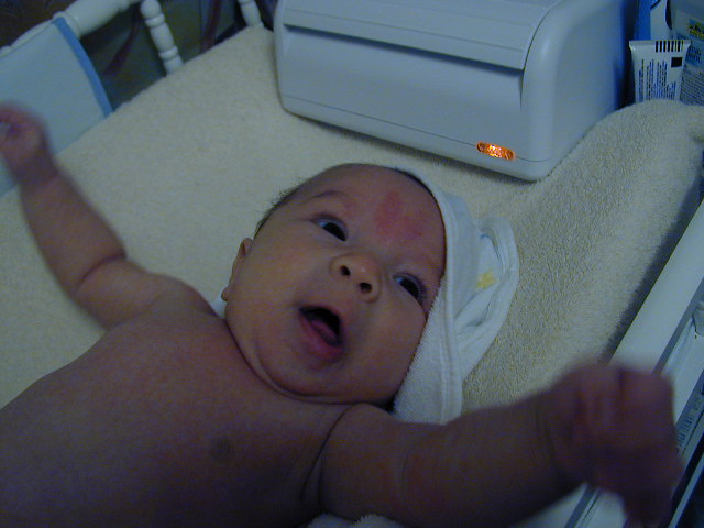 28060310.JPG, 8/6/02, 60 kB