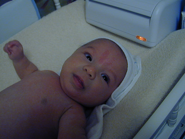 28060313.JPG, 8/6/02, 64 kB