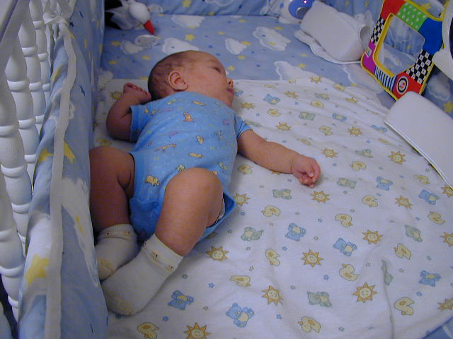 28130362.JPG, 8/13/02, 54 kB