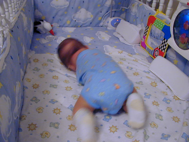 28130363.JPG, 8/13/02, 54 kB