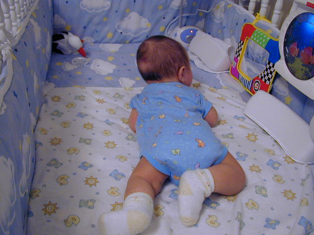 28130364.JPG, 8/13/02, 55 kB