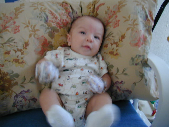 28140384.JPG, 8/14/02, 51 kB