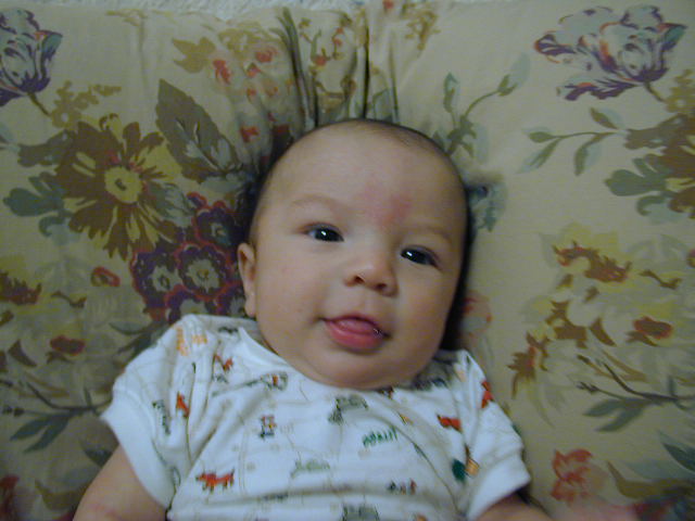 28150385.JPG, 8/15/02, 52 kB