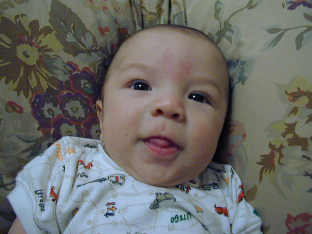 28150387.JPG, 8/15/02, 54 kB