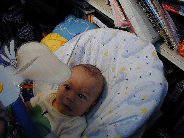 29050419.JPG, 9/5/02, 54 kB