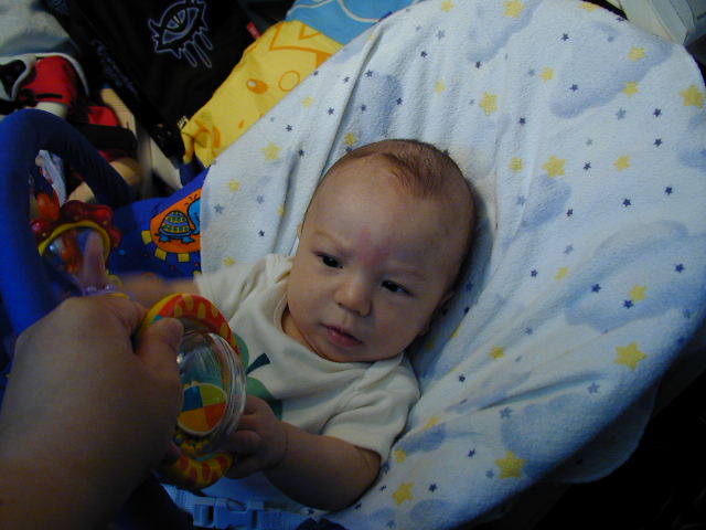 29050425.JPG, 9/5/02, 53 kB