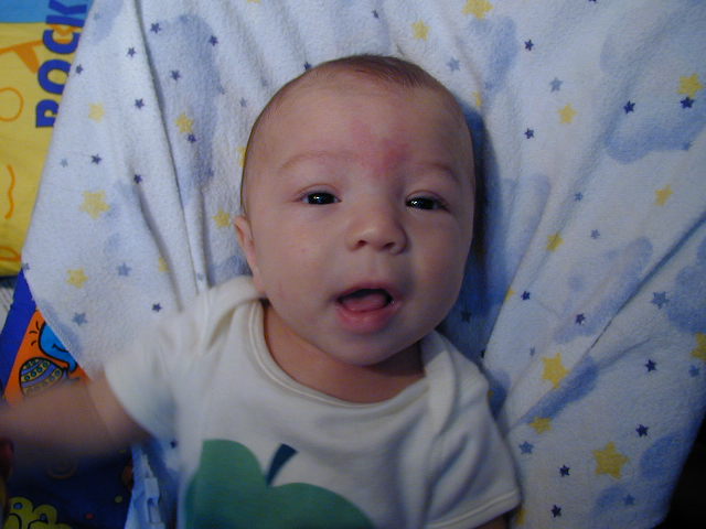 29050426.JPG, 9/5/02, 53 kB