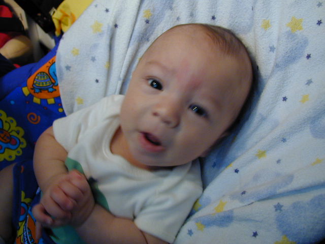 29050427.JPG, 9/5/02, 51 kB