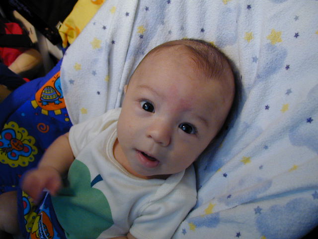 29050428.JPG, 9/5/02, 54 kB