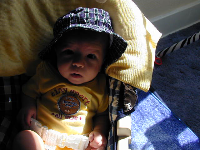 29060432.JPG, 9/6/02, 59 kB