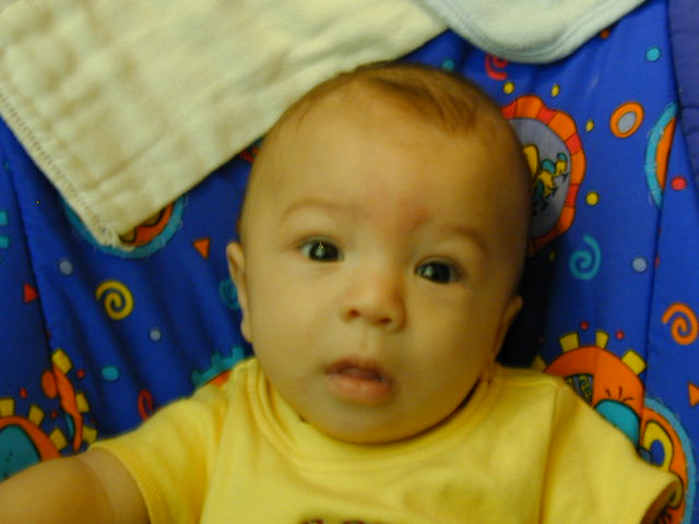 29190449.JPG, 9/19/02, 50 kB