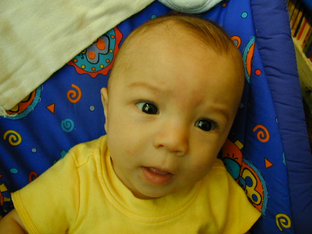 29190462.JPG, 9/19/02, 52 kB