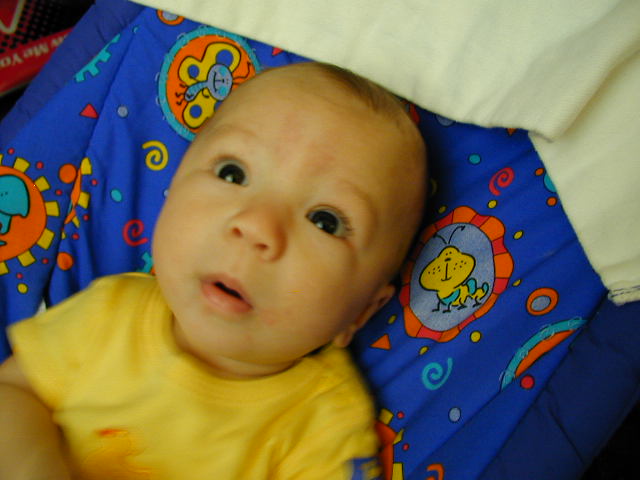 29190477.JPG, 9/19/02, 50 kB