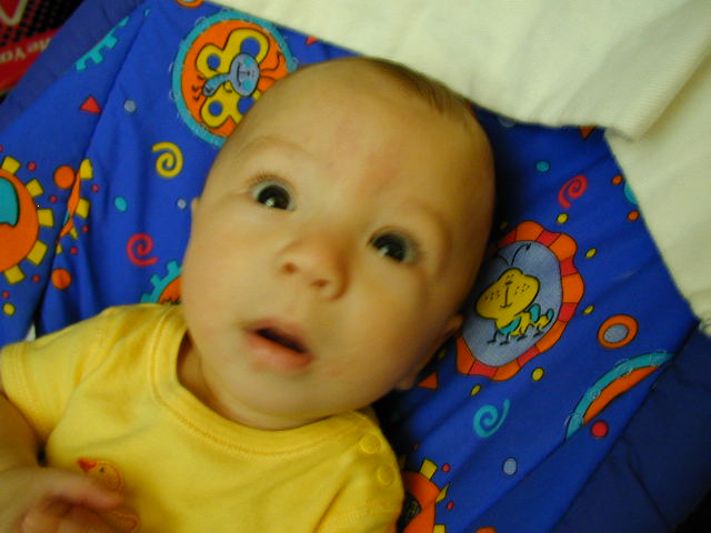 29190479.JPG, 9/19/02, 51 kB