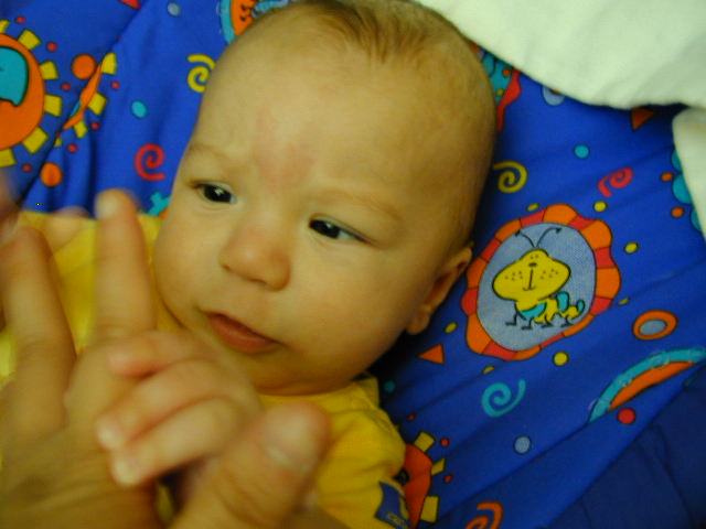 29190480.JPG, 9/19/02, 50 kB