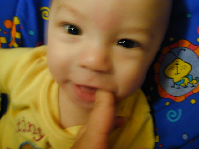 2Y020089.JPG, 11/2/02, 48 kB