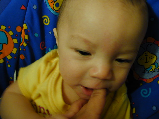 2Y020091.JPG, 11/2/02, 48 kB