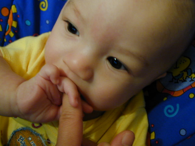 2Y020092.JPG, 11/2/02, 48 kB